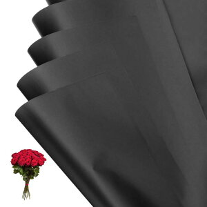 PATIKIL ԃMtg 20hu[Pp\bhJ[bvt[Xgy[p[ EFfBODIYNtgƎo^C̓ 