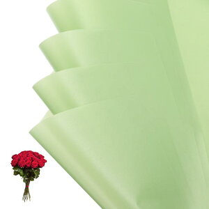 PATIKIL ԃMtg 20hu[Pp\bhJ[bvt[Xgy[p[ EFfBODIYNtgƎo^Cf[̓ 