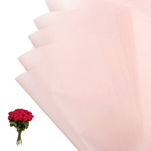 PATIKIL ԃMtg 20hu[Pp\bhJ[bvt[Xgy[p[ EFfBODIYNtgƎo^C̓ sN