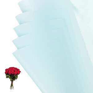 PATIKIL 22.8 x 22.8C` ԕp 10 ACfBZgʃt[Xgu[PpbP[Wht[XgpiDIYNtgMtgMtg{bNXEFfBO u[