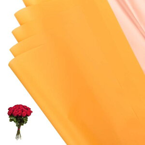 PATIKIL 22.8 x 22.8C` ԕp 10 ACfBZgʃt[Xgu[PpbP[Wht[XgpiDIYNtgMtgMtg{bNXEFfBO CG[