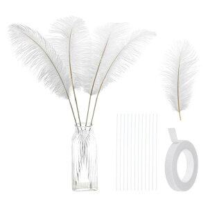 PATIKIL 12�� �V�R�_�`���E �H 12-14�C���` / 30-35 CM �傫�ȃ_�`���E �H�L�b�g �N���t�g �ԕr �z�[���f�R���[�V���� �E�F�f�B���O �p�[�e�B�[ �Z���^�[�s�[�X �t�����[�A�����W�����g�p�i�z���C
