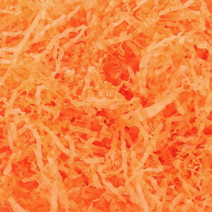 PATIKIL 4IX NNJbgy[p[ VbhpbLOOXNbVy[p[Xg[}[ EFfBOo[Xf[uCYChGQ[WgNX}X@NtgMt