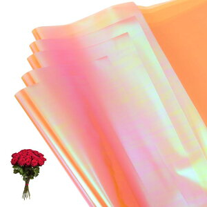 PATIKIL 22.8 x 22.8インチ 花包装用紙 10枚入り ピカピカした両面プラスチック 花束パッケージ防水フローリスト用品DIYクラフトギフト包装ギフトボックスウェディング シャンパン