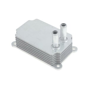 REPAIROCK �t�H�[�h�ɑΉ��g�����W�b�gMK6 2000-2006�p�G���W���I�C���N�[���[ �g�����X�~�b�V�����I�C���N�[���[ 1211772 �A���~�j�E������ �V���o�[�g�[�� 1��