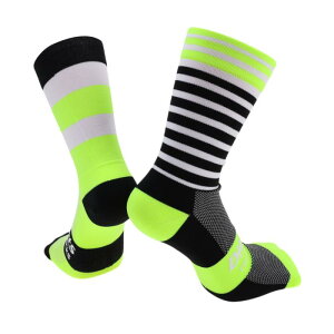 X AUTOHAUX TCNO\bNX z RC AEghAoCN\bNX ubN CG[ TCYL j[gŃjo[T 1yA