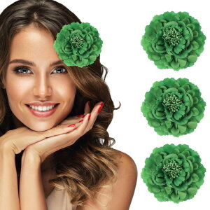 3 O  wANbv 4.7C` lHn wbht[ pwAsRT[WDIYNtgߗތap[eB[ 