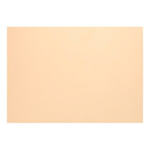 4 A4WFCgCeBOtB^[I[o[CJ[RNVvX`bNrj[PVCV[gʐ^er uIW 0.2mm