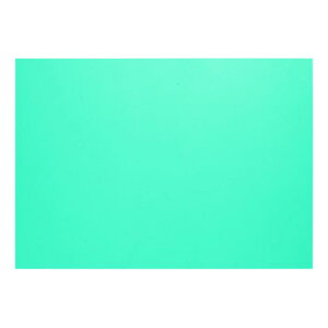 10 A4WFCgCeBOtB^[I[o[CȃJ[RNVvX`bNrj[PVCV[gʐ^er  0.2mm