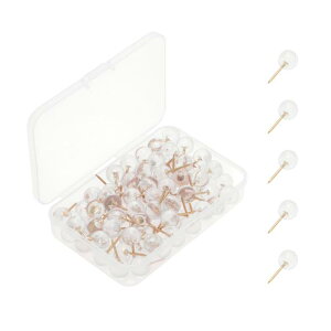 CAPASTEC e т傤 s  p ItBX wK Œp fHp [P[Xt 100 [YS[h {[