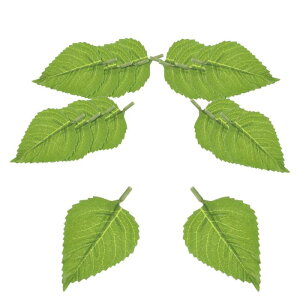 PATIKIL ȂЂ܂̑Ԃ̗t 50̐lHA΂̗tK[hDIYZ^[s[Xe[up[eB[EFfBOA[`u[PaNtgO