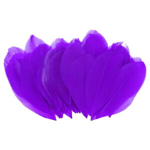 M METERXITY 50K`E H 1.6-3"/4-8cm Ntg/EFfBO/h[Lb`[/DIYNtgp VRK`E H[_[Np[v]