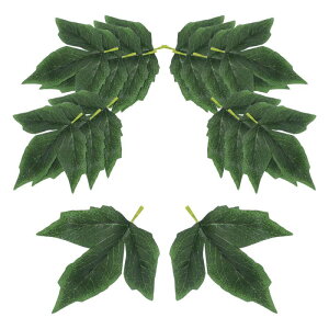 PATIKIL ȉȎԗt 50̐lHA΂̗tK[hDIYZ^[s[Xe[up[eB[EFfBOA[`u[PaNtgO