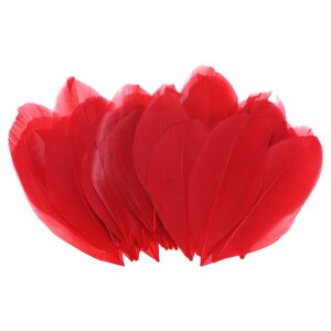 M METERXITY 100K`E H 1.6-3"/4-8cm oNVRK`E H Ntg/EFfBO/h[Lb`[/DIYNtgp[bh]