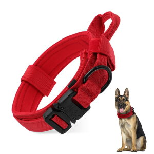 RENEWREVITAL ^p nht \ d g[jO Ogp ^NeBJfUC GNXg[W bh