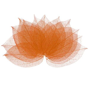 M METERXITY 100pbÑXPg[tAVRS̖؂̊tAAW/DIYNtgJ[h/XNbvubN/EFfBOpAȗt̑[8-9cmAk [ h]