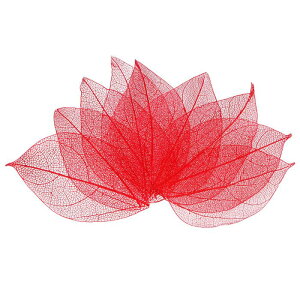 M METERXITY 100pbÑXPg[tAVRS̖؂犣vX[tAW/ DIYNtgJ[h/XNbvubN/EFfBOp̗tAȗt̑[4-6cmAbh]