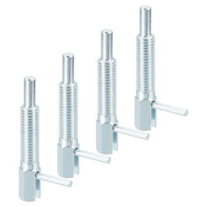 4  oCfbNXvW[s M10 l XvOvW[J[{|XvO[hb`LkbNs@BDp