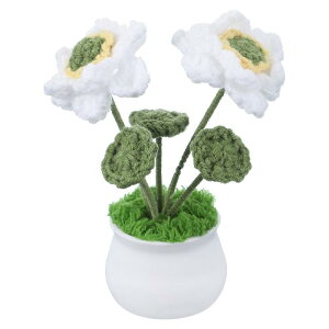 PATIKIL NVF 1 ҂ݕNVFԃ[^XAԒaԃMtgz[fR[V zCg