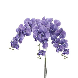 PATIKIL A[eBtBVI[LhXe41C`A3pbN9wbhtFCNt@mvVXt[A^b`tFCNI[Lht[u `Aԕrz[EFfBOfR[V