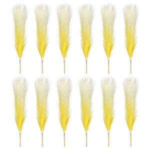 PATIKIL 17" tFCNppXOX 12 {w ~AfR[V EFfBOt[p[eB[  lHIȔw tt Xe ԕrAWg Z^[s[X Of[V