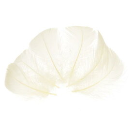 クラフト用ベージュフェザー200枚セット（3-5インチ/7-12cm）手芸用カラーフェザー・ふわふわ羽毛・DIY材料・ドリームキャッチャー材料・ウェディング/パーティー装飾