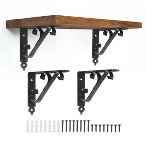 4 pI 250mm/10" wr[f[eB[I Ǌ|L^I Ǌ|{IIT|[g 