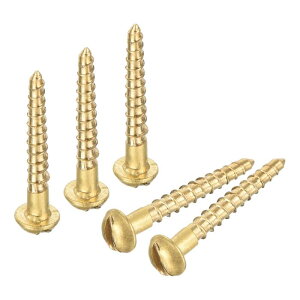 �؂˂� M1.6 x 12mm �X���b�g�h���E���h�w�b�h�^�J���ȍU�B 30��