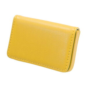 CAPASTEC h Y hP[X e J[hP[X oȒP  Vv AEj Mtg jp 1 