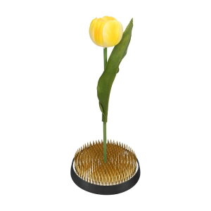 M METERXITY t[tbO3.1"Eh^Jt[st[tbOz_[t[AW[Œc[Wo[x[XAWgԕr/A/z[fR[V[1.1cms