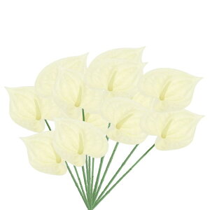 PATIKIL 13" lHAXE[̉ 10pbN ivԃt[AWgu[P z[fR[V EFfBO Ղ p[eB[p x[W