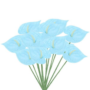 PATIKIL 13" lHAXE[̉ 10pbN ivԃt[AWgu[P z[fR[V EFfBO tFXeBop[eB[p XJCu[