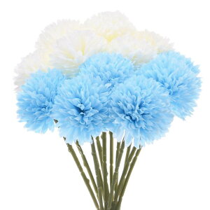 M METERXITY 12pbN lHLN{[ 11" tFCNAWTCVNu[P A^b` tFCNt[ z[/EFfBO/NX}X/p[eB[/K[fItBXp[N[zCg 