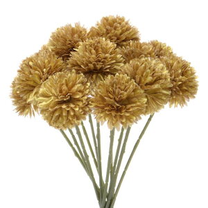 M METERXITY 12pbN lHLN{[ 11" tFCNAWTCVNu[P A^b` tFCNt[ ƒ//NX}X/p[eB[/K[fItBXp[F]