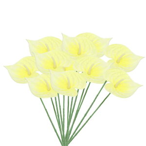 PATIKIL 13" lHAXE[̉ 10pbN ivԃt[AWgu[P z[fR[V EFfBO tFXeBop[eB[p CgCG[