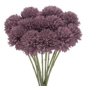 M METERXITY 12pbN lHLN{[ 11" tFCNAWTCVNu[P A^b` tFCNt[ ƒ//NX}X/p[eB[/K[fItBXpyH z