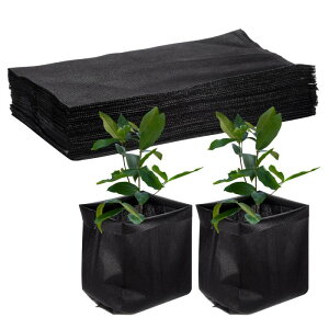 M METERXITY 50pbN̂Ȃ 11.8" x 11.8 "̕sDzAȂ  q̔/ÿڐA/ƒpK[fpip̕z|bg [u  bN]