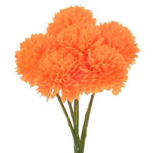 M METERXITY 6pbN lHLN{[ 11" tFCNAWTCVNu[P A^b` tFCNt[ ƒ//NX}X/p[eB[/K[fItBXp[IW]