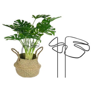 M METERXITY 1pbN XeAT|[g 11x5.9"ėp\ȊȍAT|[gXe[NX AA///O 鐫A ƓȃfUC[]