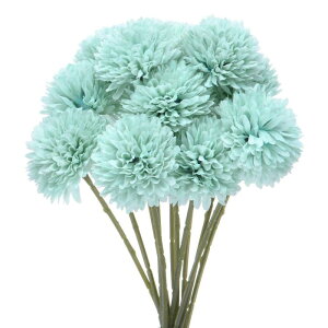 M METERXITY 12 lHLN{[ 11" tFCNAWTCVNu[P A^b` tFCNt[ ƒ//NX}X/p[eB[/K[fItBXp[XJCu[]