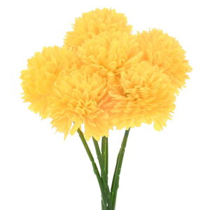 M METERXITY 6 lHLN{[  11" tFCNAWTCVNu[P A^b` tFCNt[ ƒ//NX}X/p[eB[/K[fItBXp[CG[]