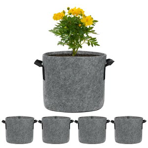 M METERXITY 5pbN vgO[obO3KO[obO300G n|bg ϋv nht AK[f|bg ʕ///Ap[O[]