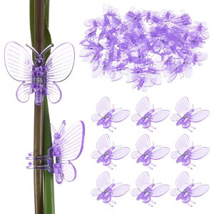 M METERXITY 100I[Lb hNbv vX`bNK[fvgNbv g{I[Lb hNbv A s/x邽 K[fvgT|[gNbv[p[v]