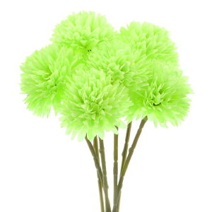 M METERXITY 6pbN lHLN{[ 11" tFCNAWTCVNu[P A^b` tFCNt[ ƒ//NX}X/p[eB[/K[fItBXp[Cg]