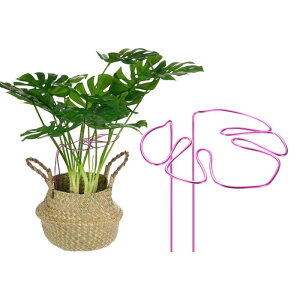 M METERXITY 1pbN XeAT|[g 11x5.9"ėp\ȊȍAT|[gXe[NX AA///O 鐫Ap ƓȃfUC[sN]