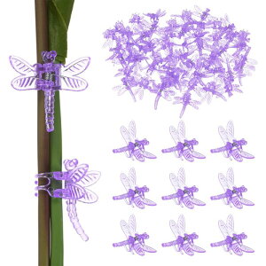 M METERXITY 50I[Lb hNbv vX`bNK[fvgNbv g{I[Lb hNbv A s//sx邽 K[fvgT|[gNbv[p[v]