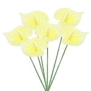 PATIKIL 13" lHAXE[̉ 6Zbg ivԃt[AWgu[P z[fR[V EFfBO Ղ p[eB[p CgCG[