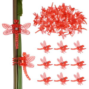 M METERXITY 100I[Lb hNbv vX`bNK[fvgNbv g{I[Lb hNbv A s//sx邽 K[fvgT|[gNbv[bh]