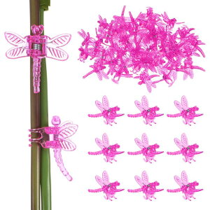 M METERXITY 50I[Lb hNbv vX`bNK[fvgNbv g{I[Lb hNbv A s//sx邽 K[fvgT|[gNbv[[Y]