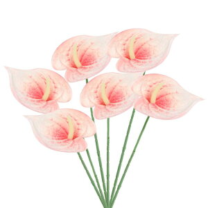 PATIKIL 13" lHAXE[̉ 6Zbg ivԃt[AWgu[P z[fR[V EFfBO Ղ p[eB[p IWzCg